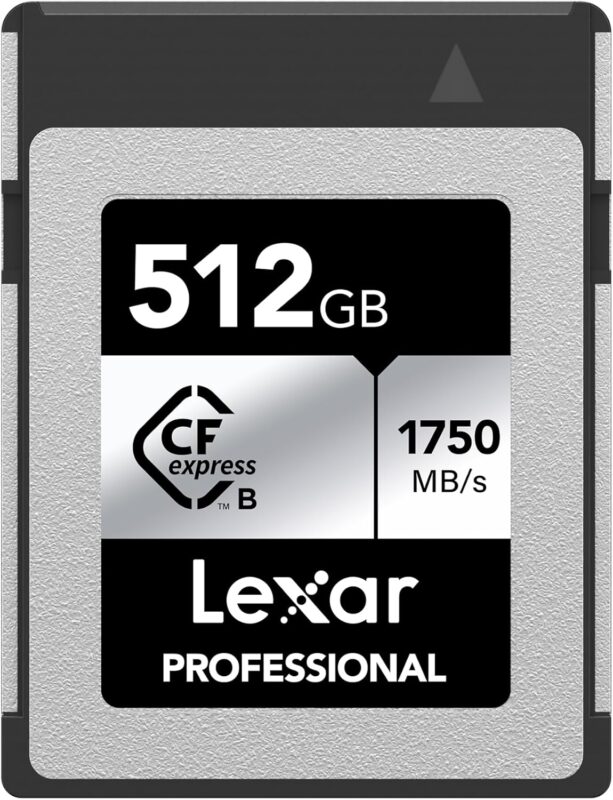 Lexar 512GB Professional CFexpress Type-B Silver Memory Card 1750 1,300 MBs